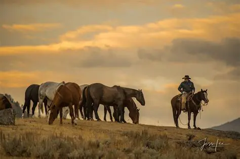 Wyoming Cowboy News: Keeping You Updated on Ranching, Rodeo, and Western Life