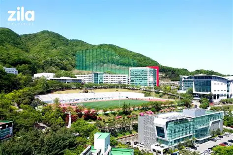 용인대학교: 대한민국 무도 명문 사학의 역사와 미래