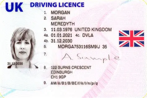 Your UK driving licence number