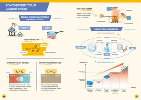 Zastosowanie Wsip w Fizyce