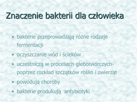 Znaczenie bakterii dla obiegu azotu